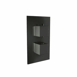 Black Square Handled Dual Concealed Shower Valve